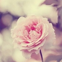 ΨQQͷ-ԼԶʤڰ